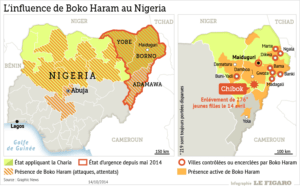 La présence du groupe jihadistes Boko Haram au Nigeria. - Le Figaro